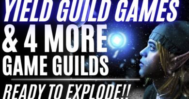 Yield Guild Games & 4 More Crypto Game Guilds Ready to Soar!