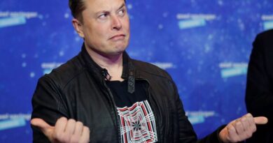 Elon Musk Reveals Talks With Sam Bankman-Fried: “My Bullshit Meter Was Redlining”