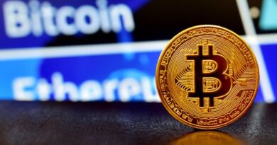 Bitcoin cost forecast: How low can it drop?