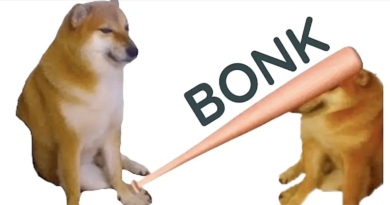 What is BONK in Crypto? A Guide on the Viral New Dog Meme Coin
